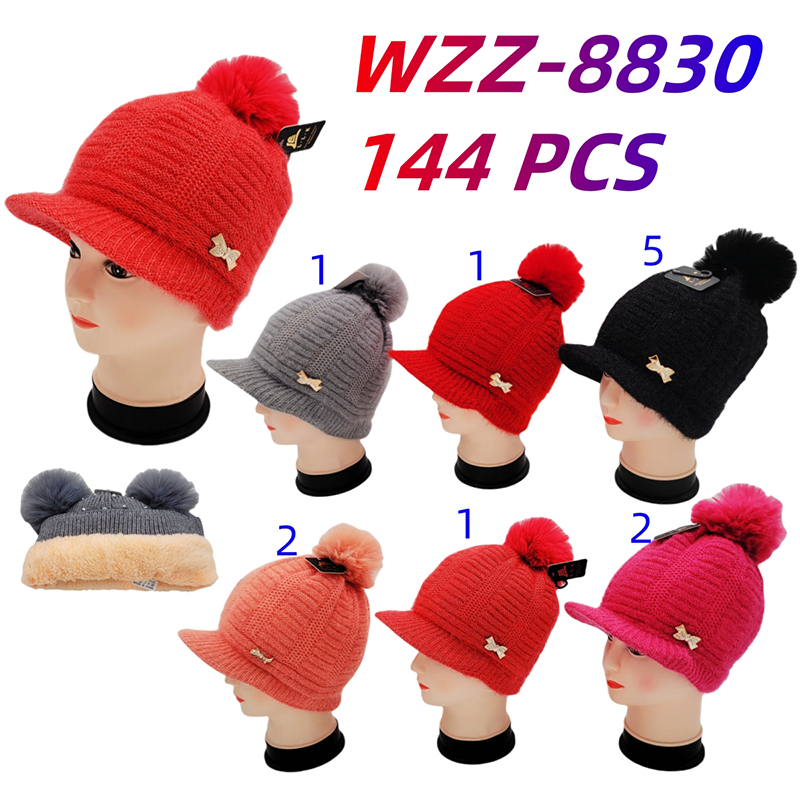 WZZ-8830 CS144